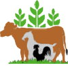 Feed & Livestock
