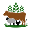 Feed, Pet & Livestock