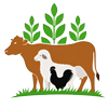 Feed, Pet & Livestock