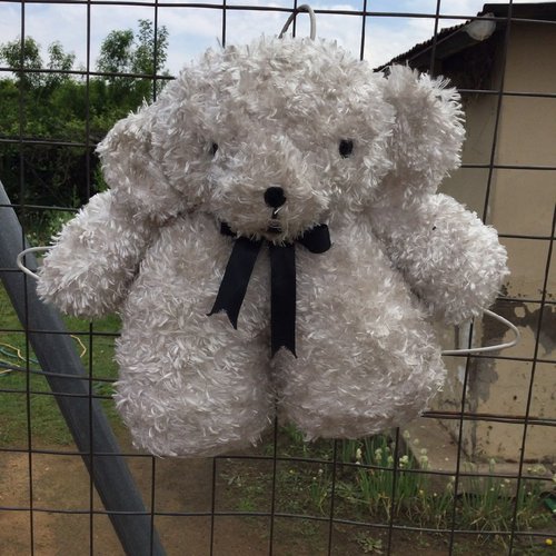 Teddy Bears