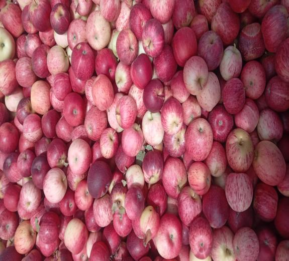 Fruits