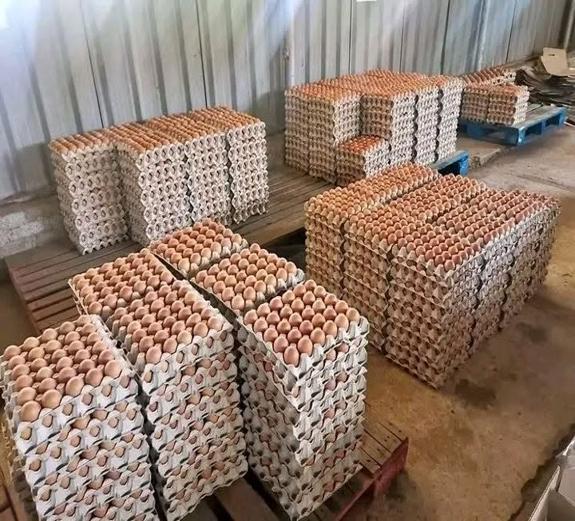 Eggs
